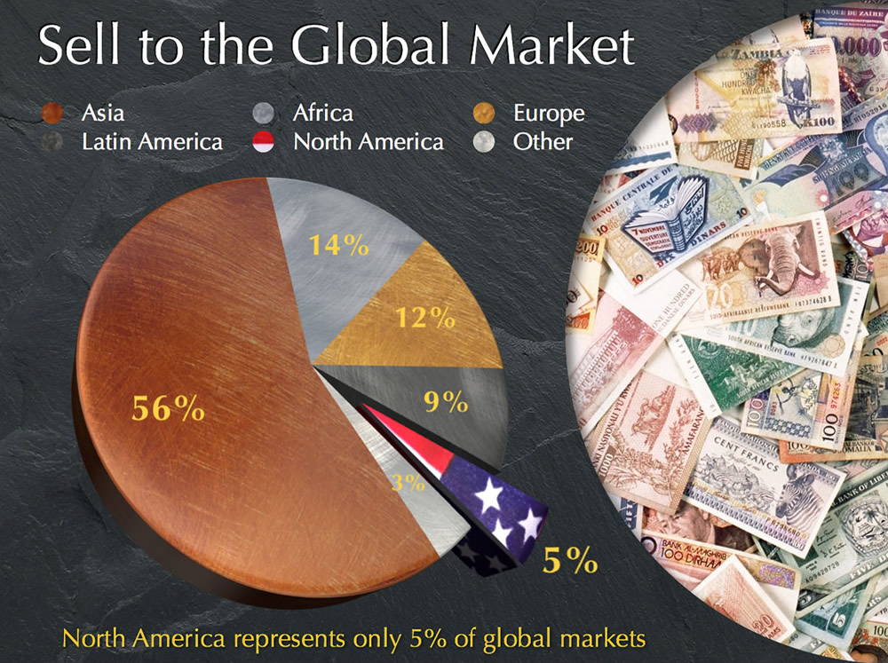 95% of the online market is OUTSIDE of North America. Are you after it?
