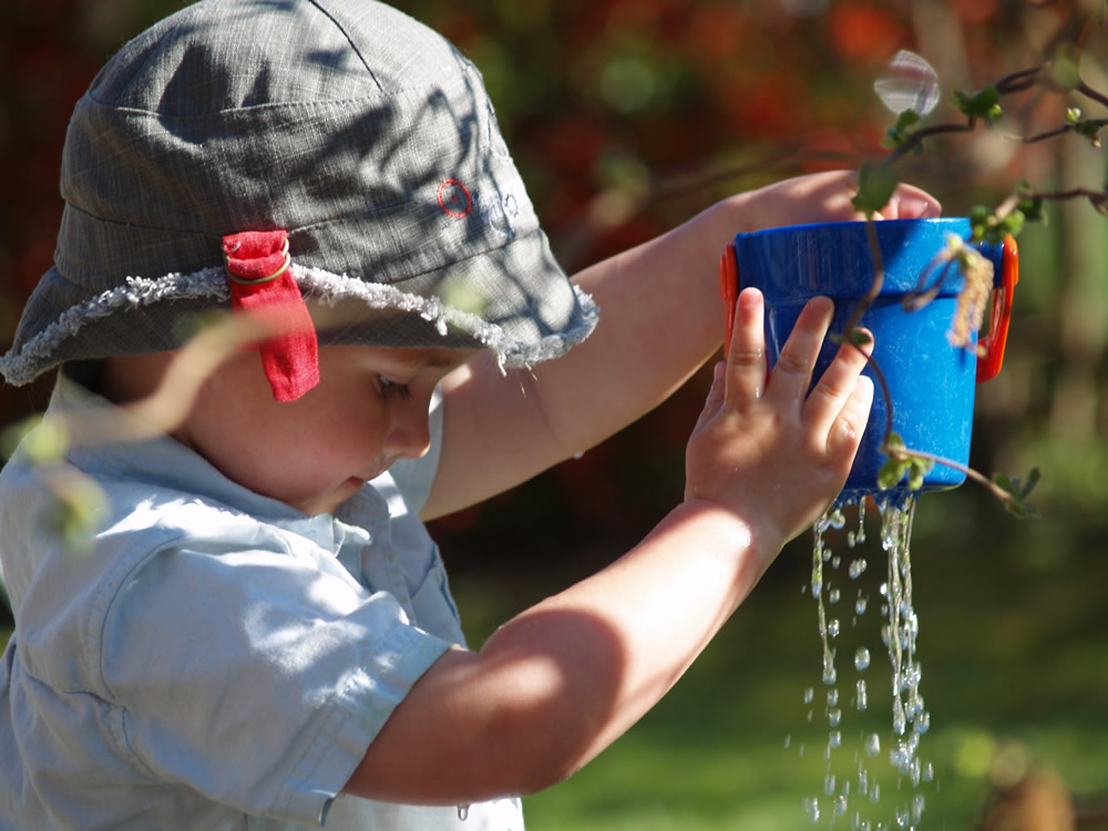 Let us help you shrink the holes in a leaky bucket