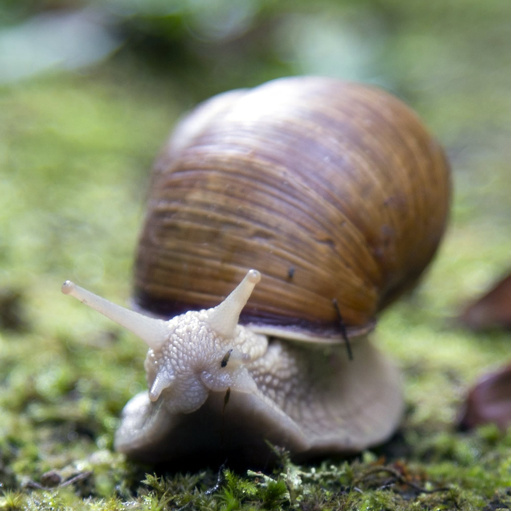 Waiting for business to come to you is likely to result in snail's pace growth.